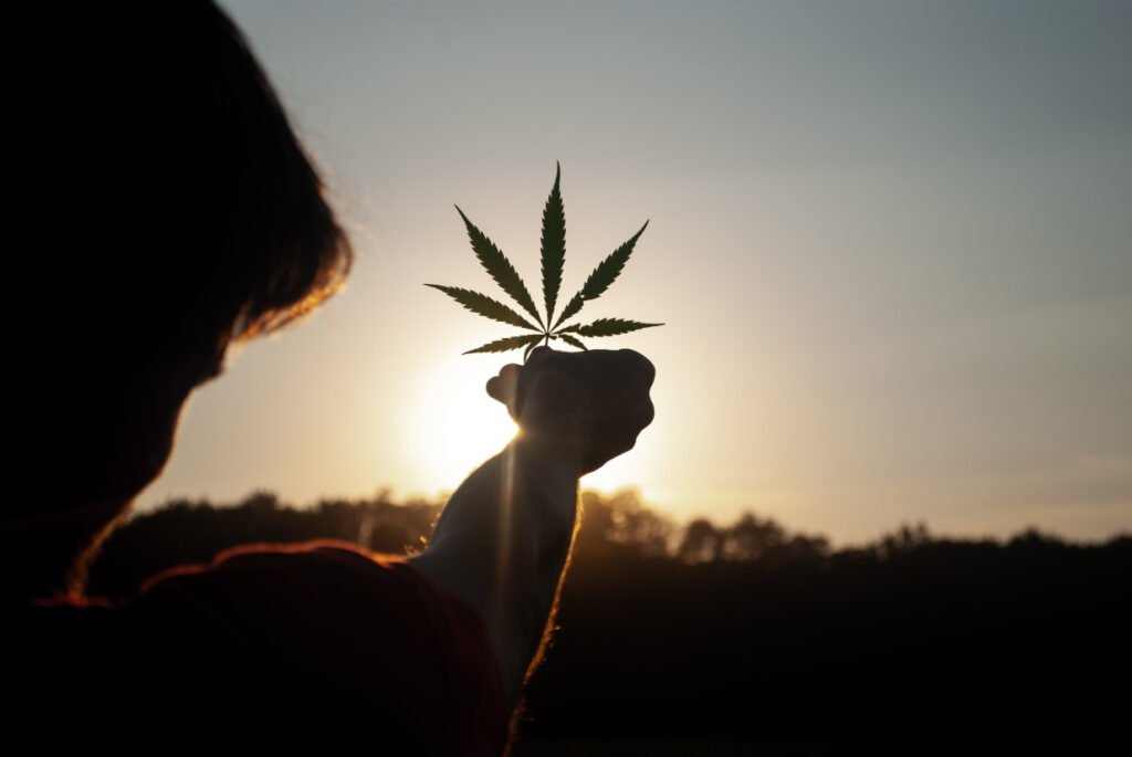 A Beginner’s Guide to Cannabis Use