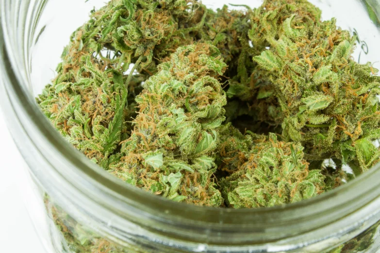 Buy AAAA Grade Weed Online in BC