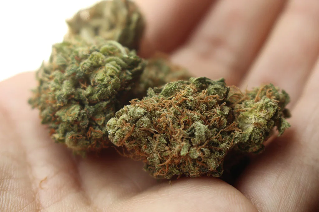 Buy AAAA Grade Weed Online in BC
