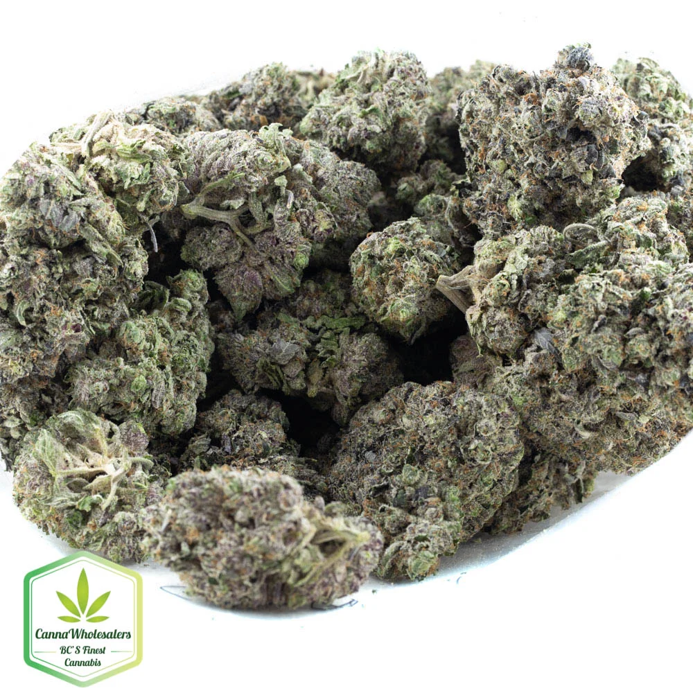 Black Tuna – Budget Ounce