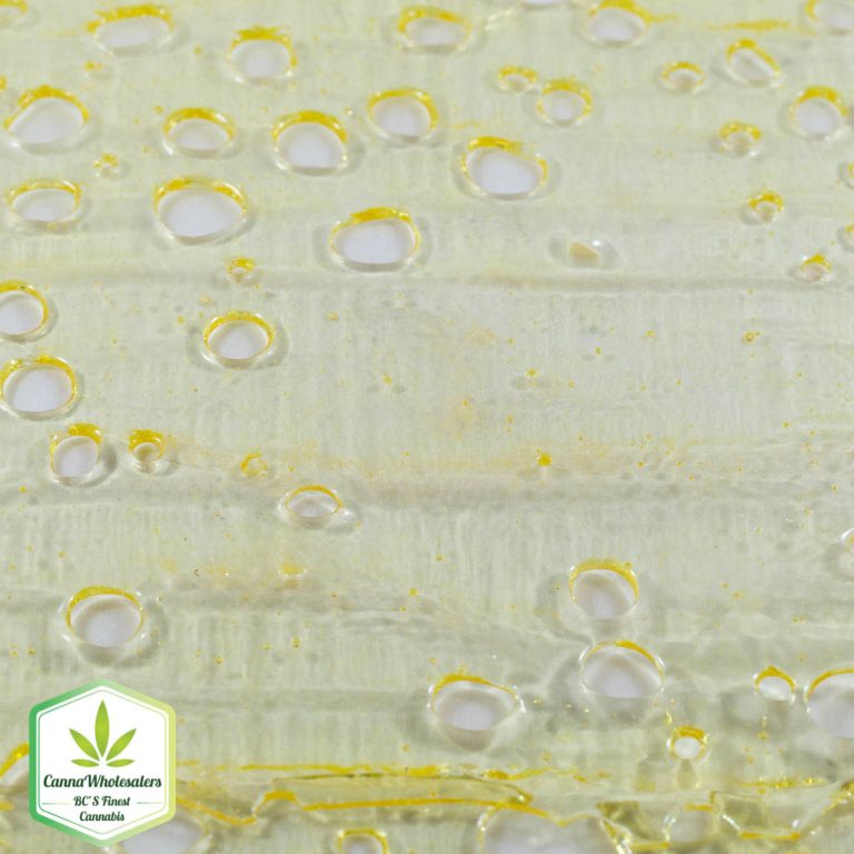 Cannawholesalers – White Cake Inhouse Shatter (Top Shelf)