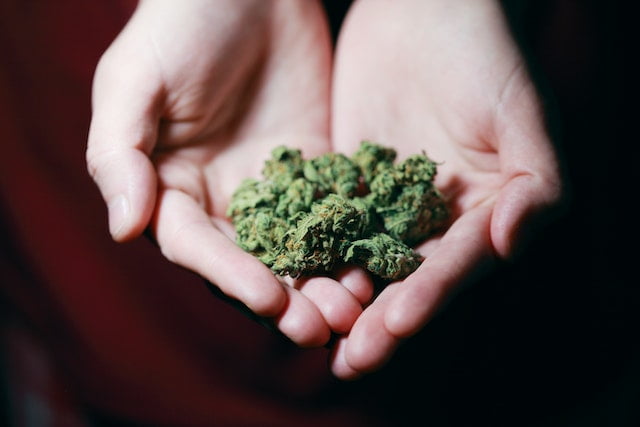 What is the cannabis tolerance
