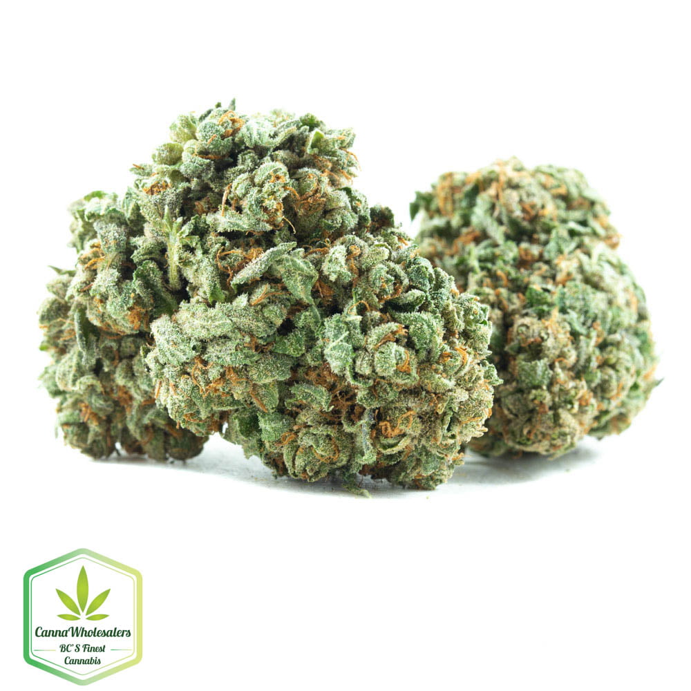 Buy Budget Oz Rolex OG Kush Online Canna Wholesalers Canadian