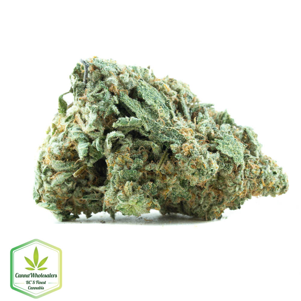 Buy Moonbow Online | Canna Wholesalers