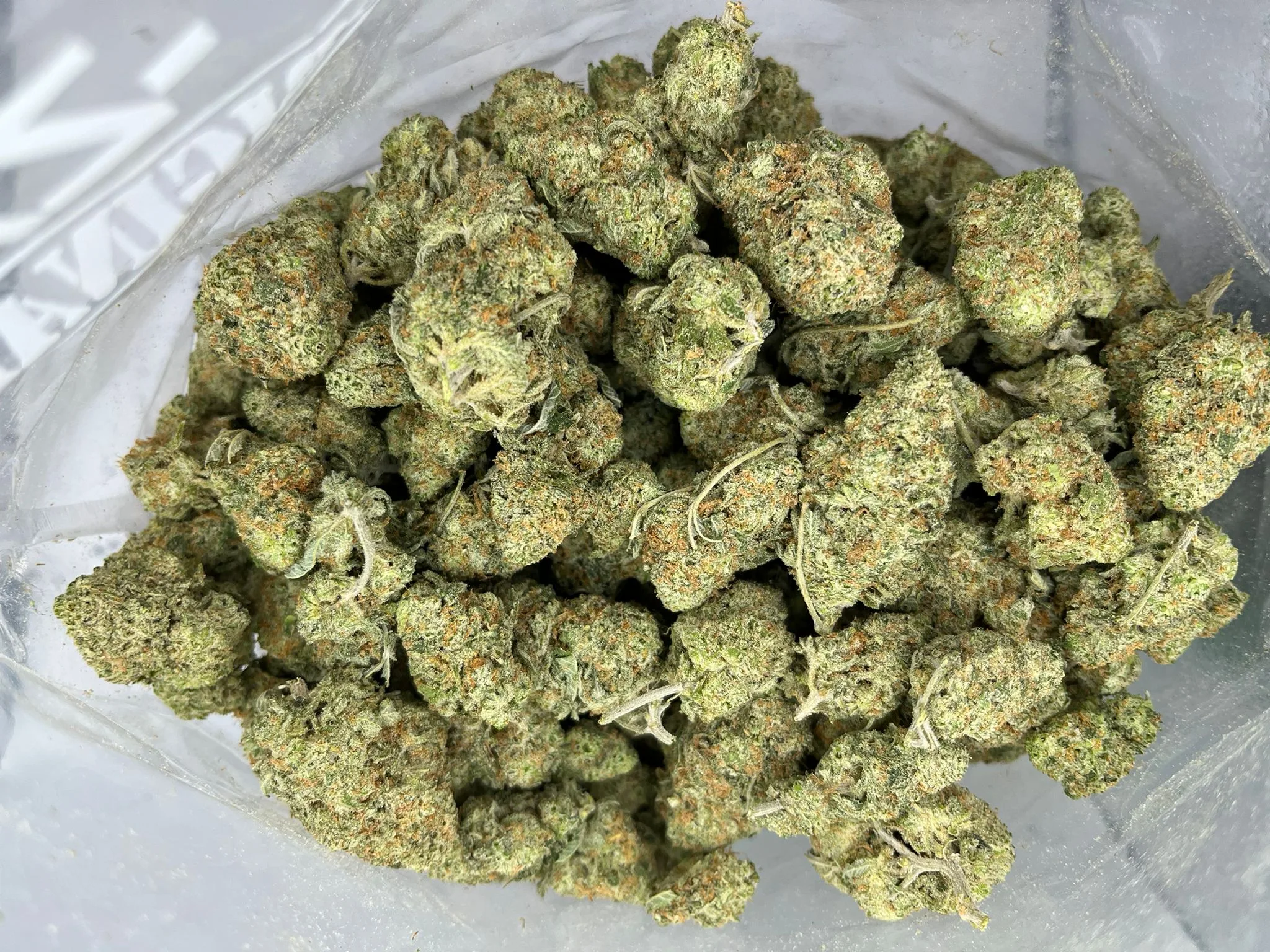 Budget Oz – Cannawholesalers – Girl Scout Cookies