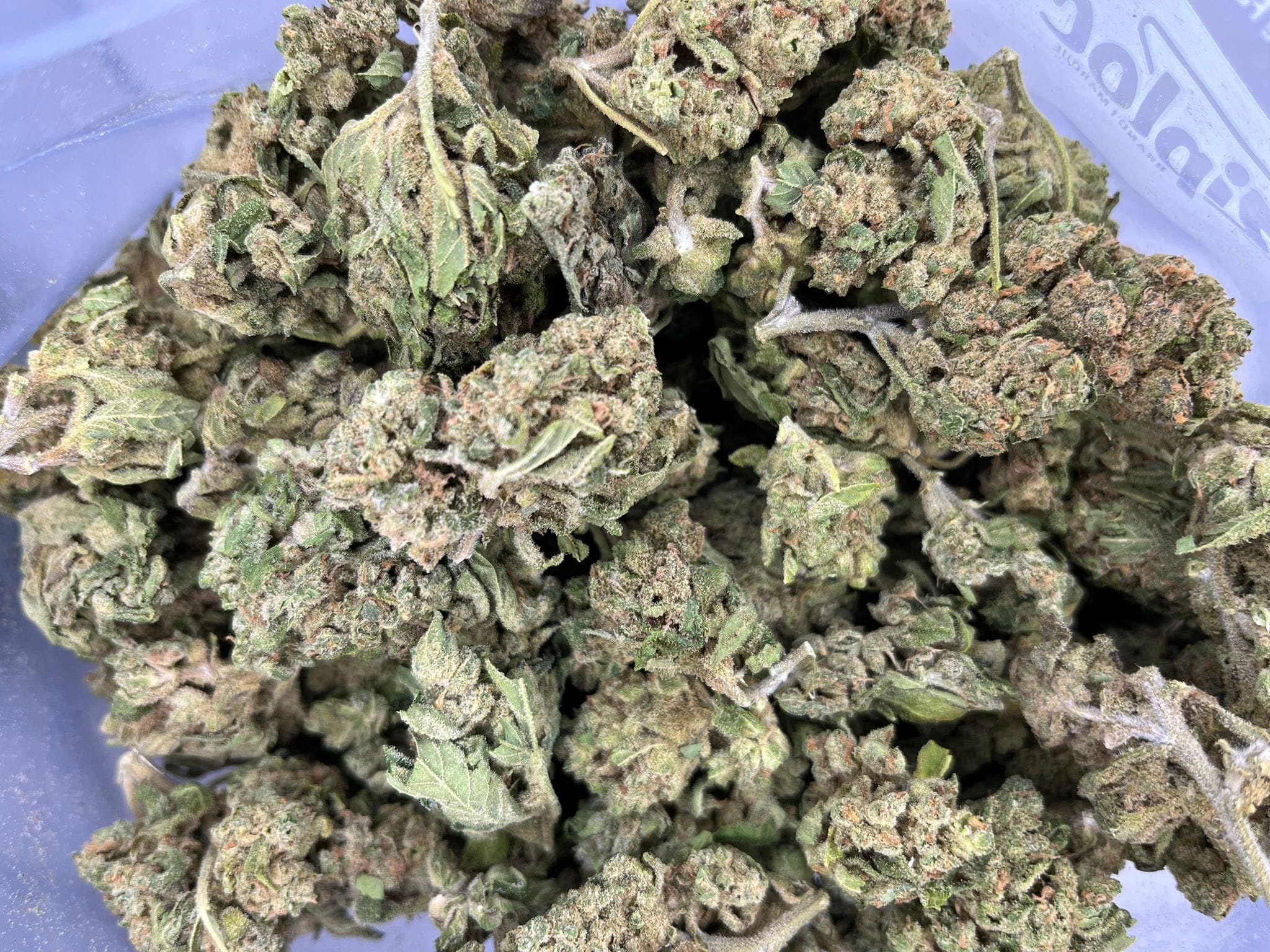 Budget Oz – Gorilla Grips