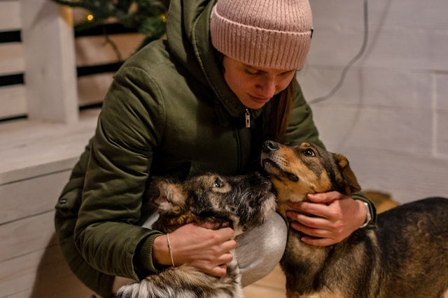 Cannabis and pets