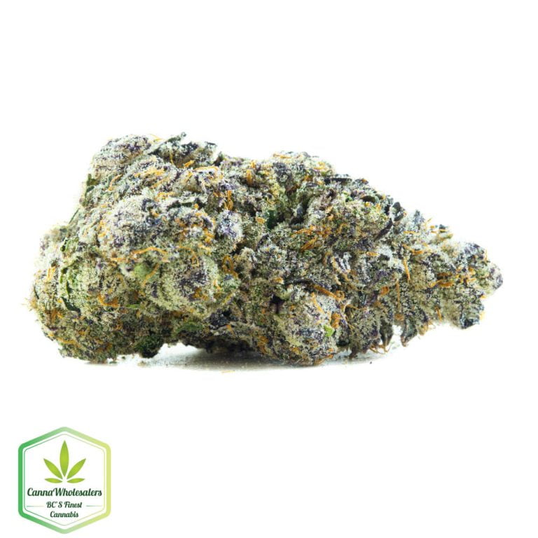 Blueberry Space Cookies