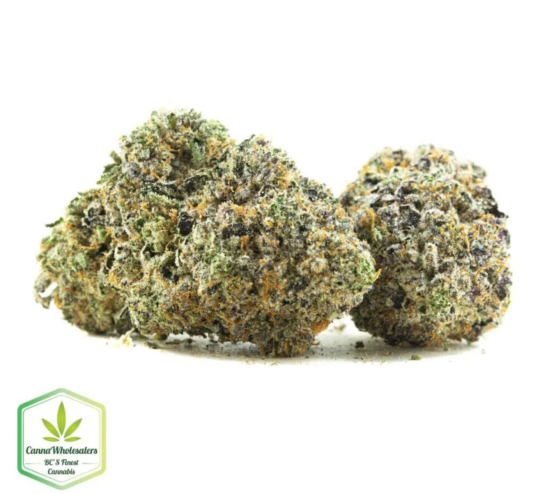 Budget Oz – Purple Space Tuna