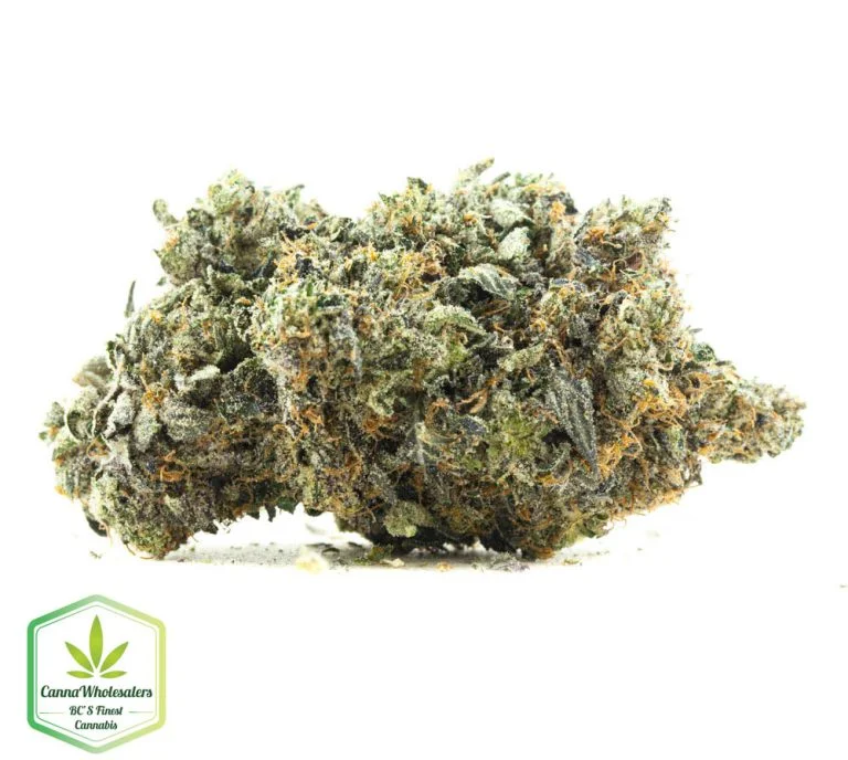 Budget Oz – Death Tuna