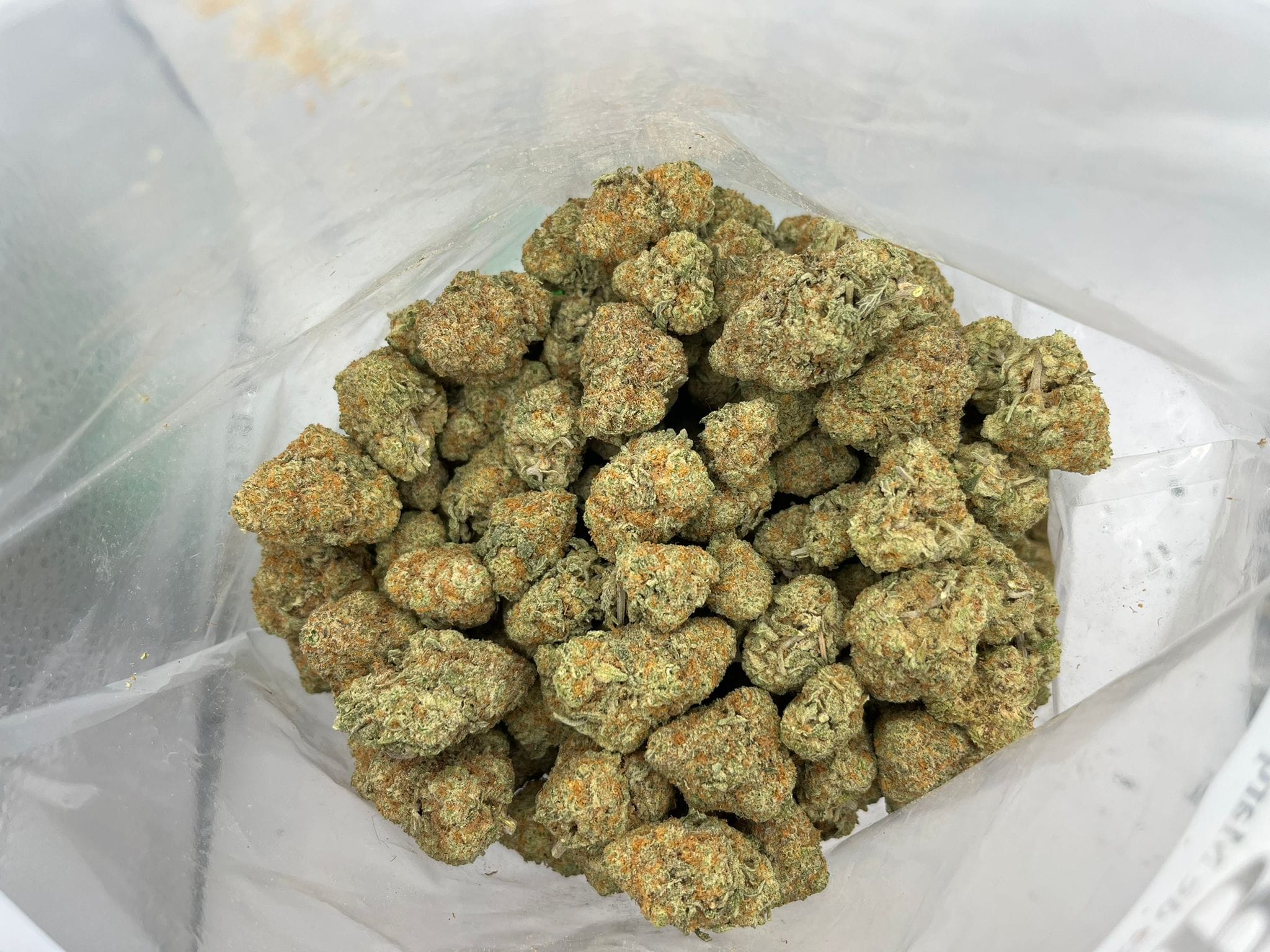 Budget Oz – Peach Oz