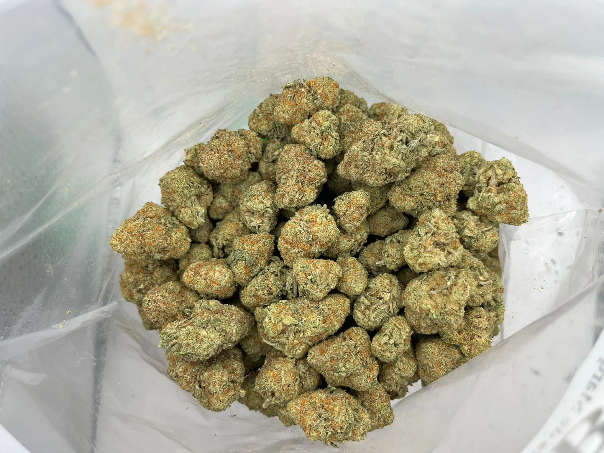 Budget Oz – Peach Oz