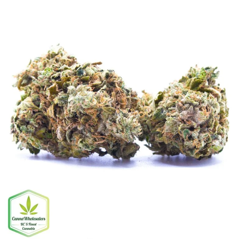 Budget Oz – Tuna Kush