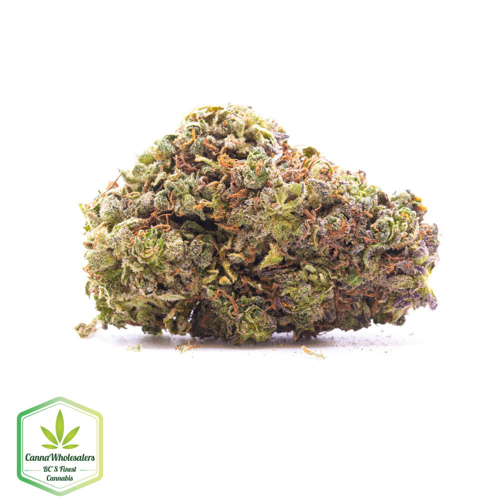 Buy Northern Lights 5 Online Canna Wholesalers