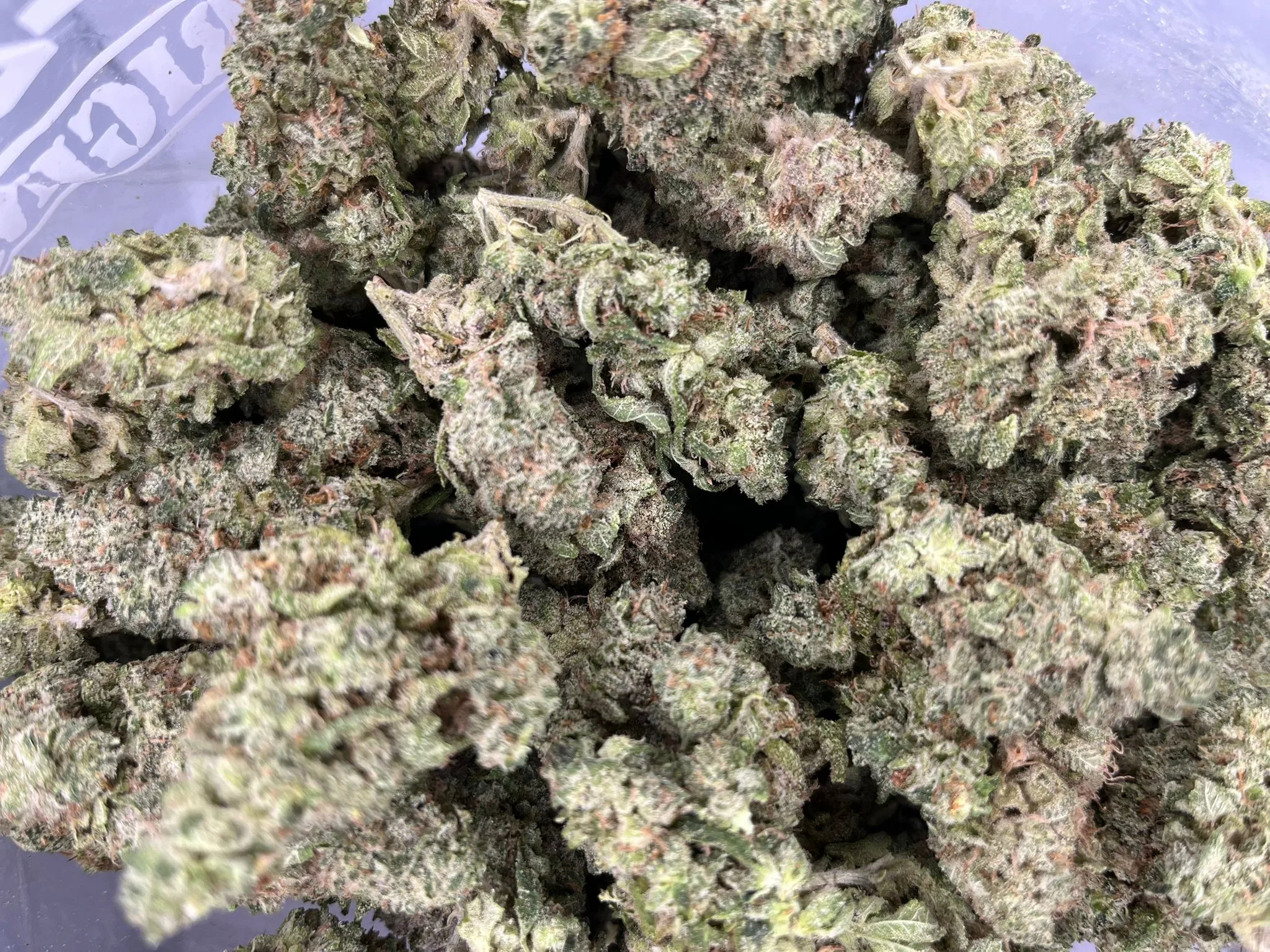 Budget Oz – Lion’s Mane