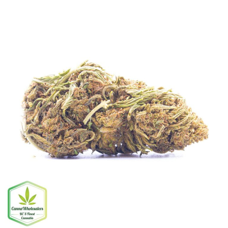 Jungle Breath