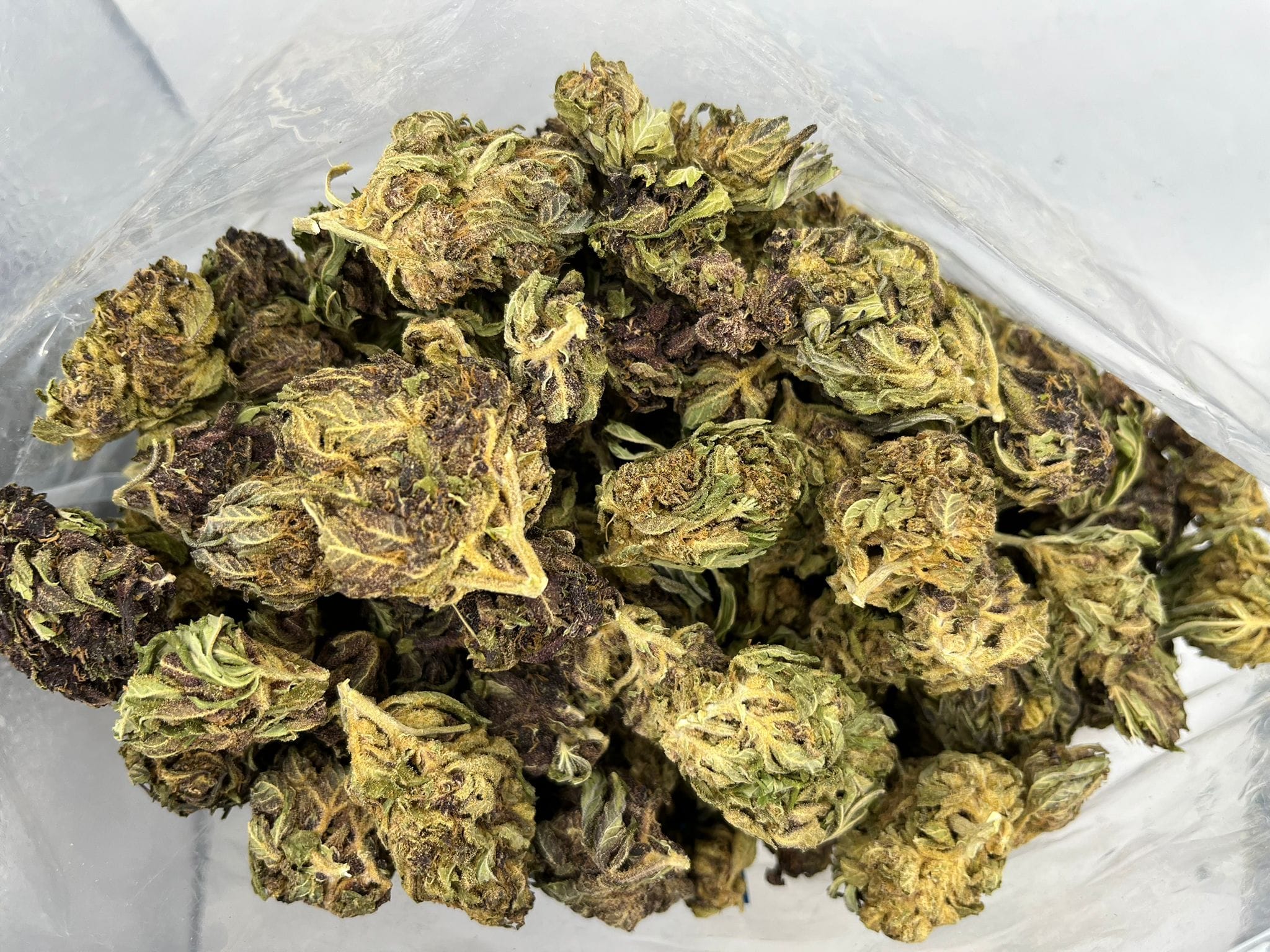 Budget Oz – Dragon’s Breath