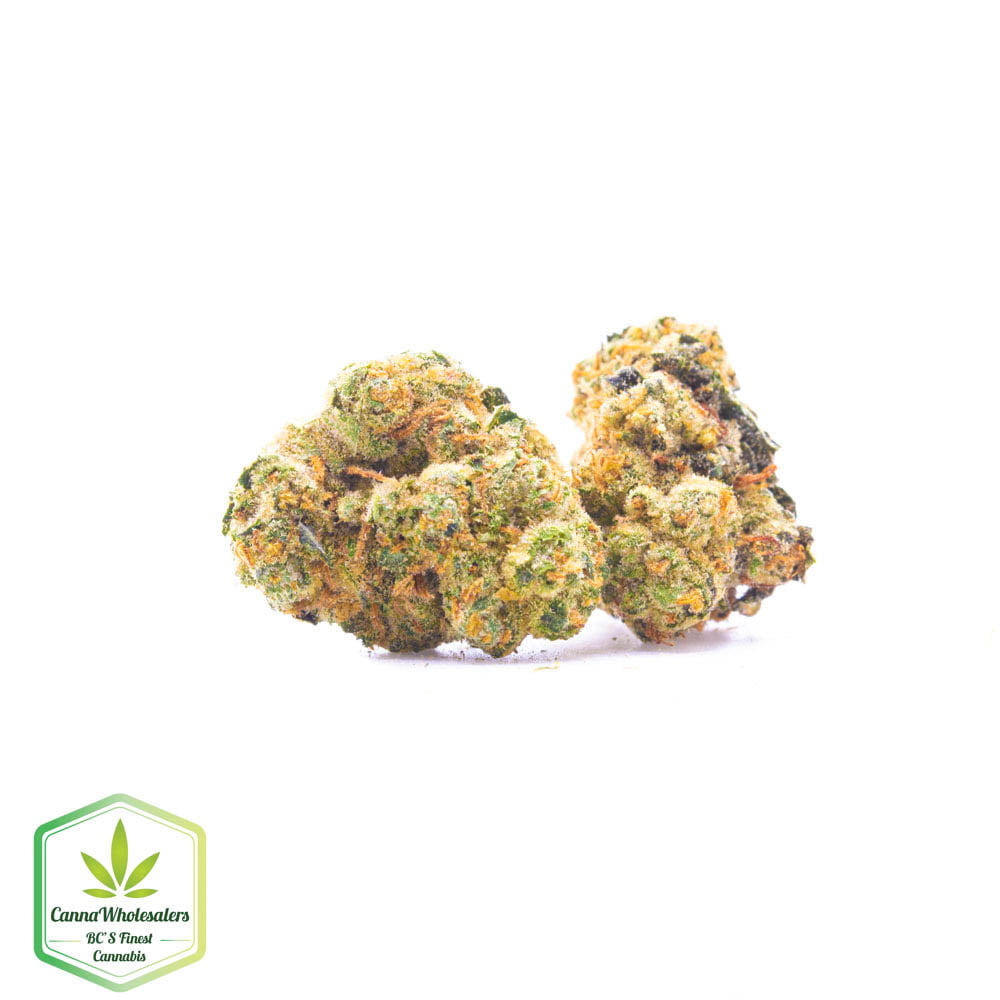Buy Budget Oz Mango Haze Online Canna Wholesalers