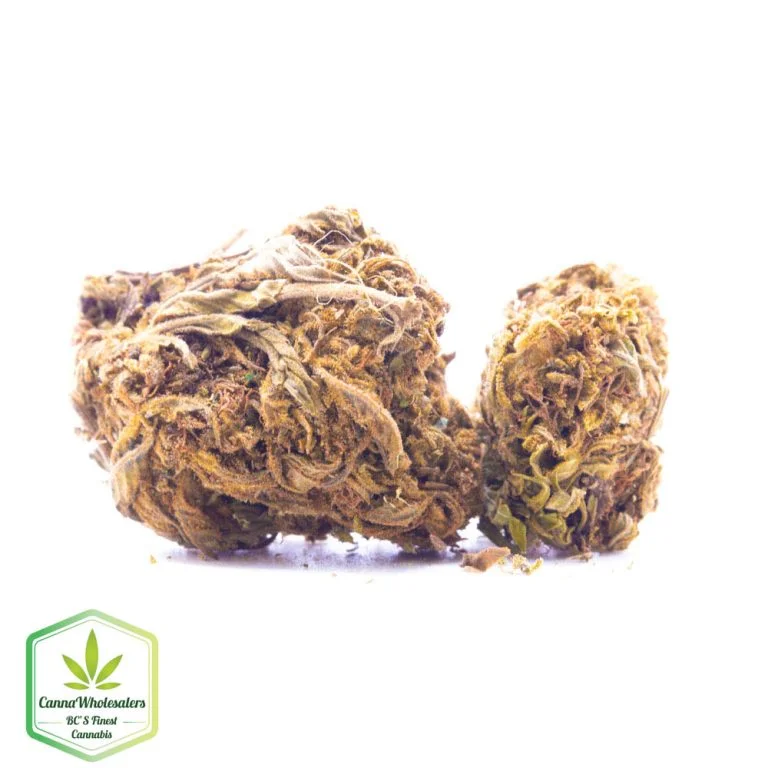 Budget Oz – Jungle Breath