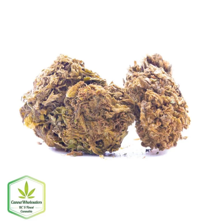 Budget Oz – Greenhouse P51