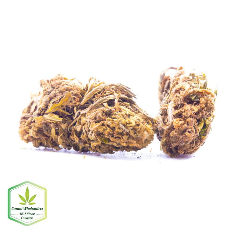 Budget Oz – Valley Girl