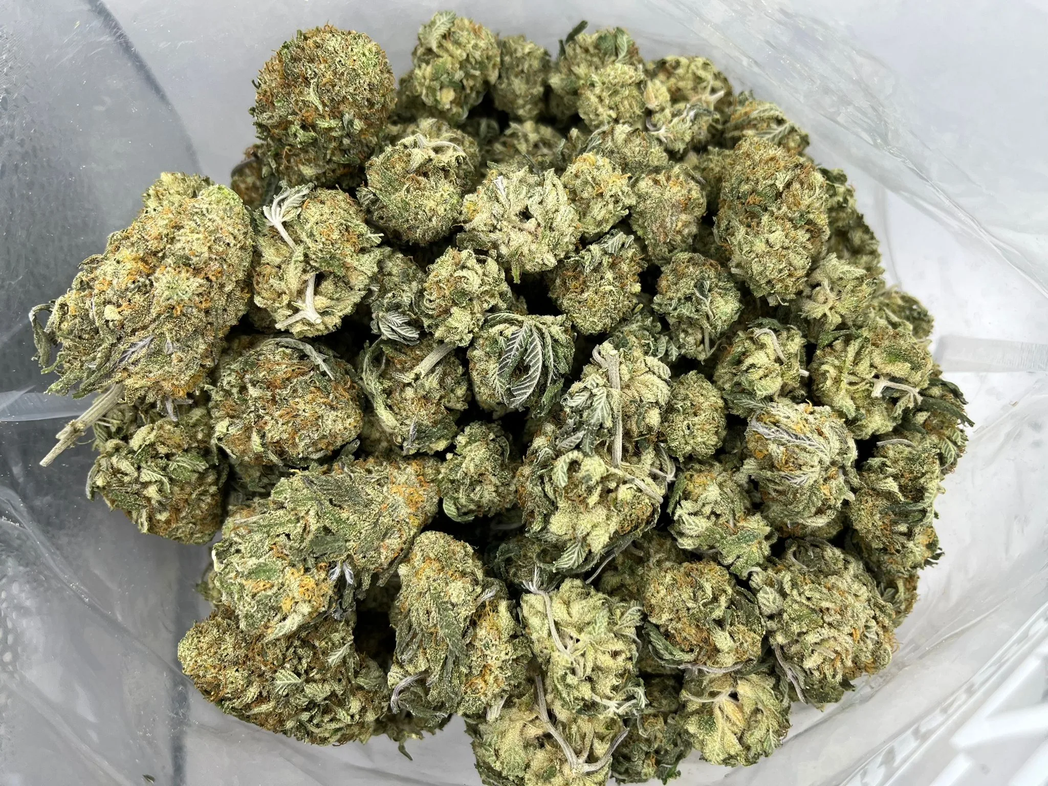 Budget Oz – The Truth