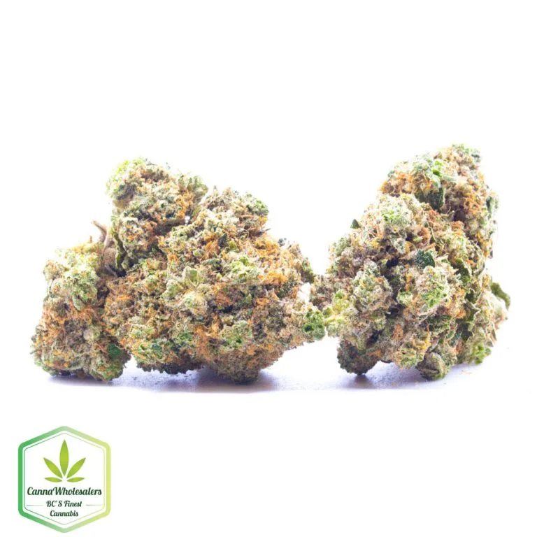 Budget Oz – Bluefin Tuna