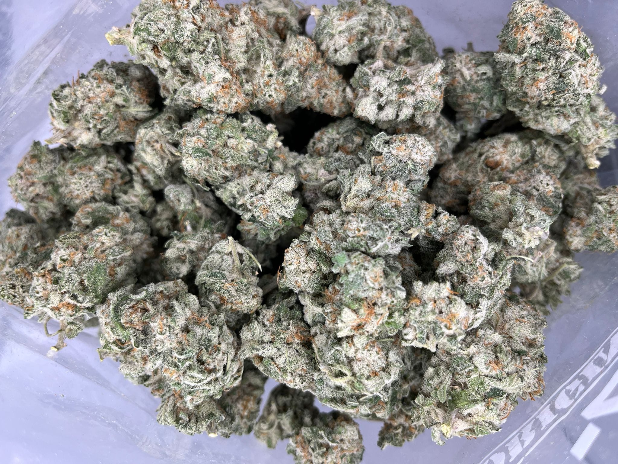 Budget Oz – Electric Kool Aid