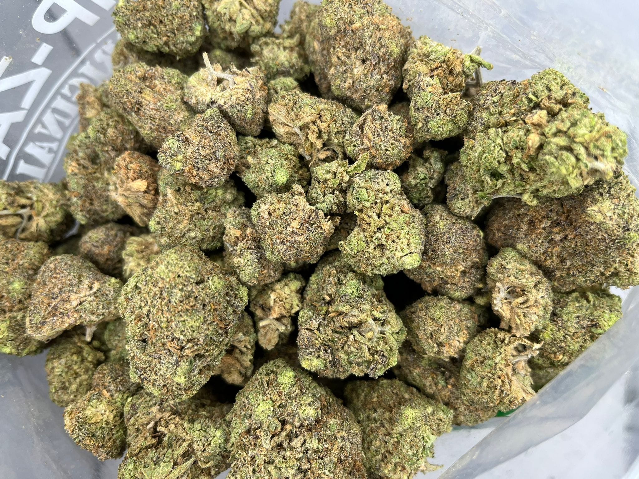 Budget Oz – Bazookies