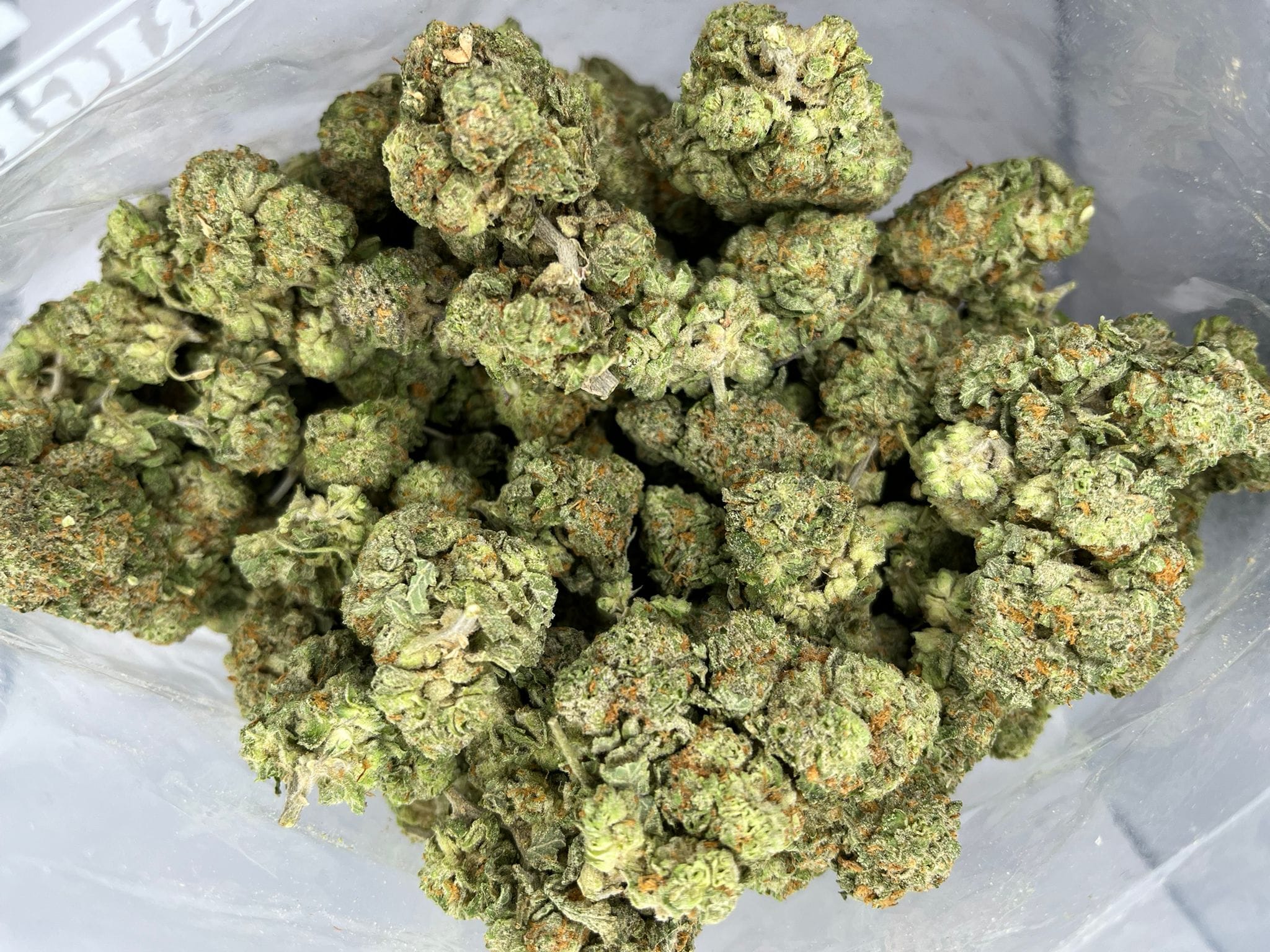 Budget Oz – Mango Dream