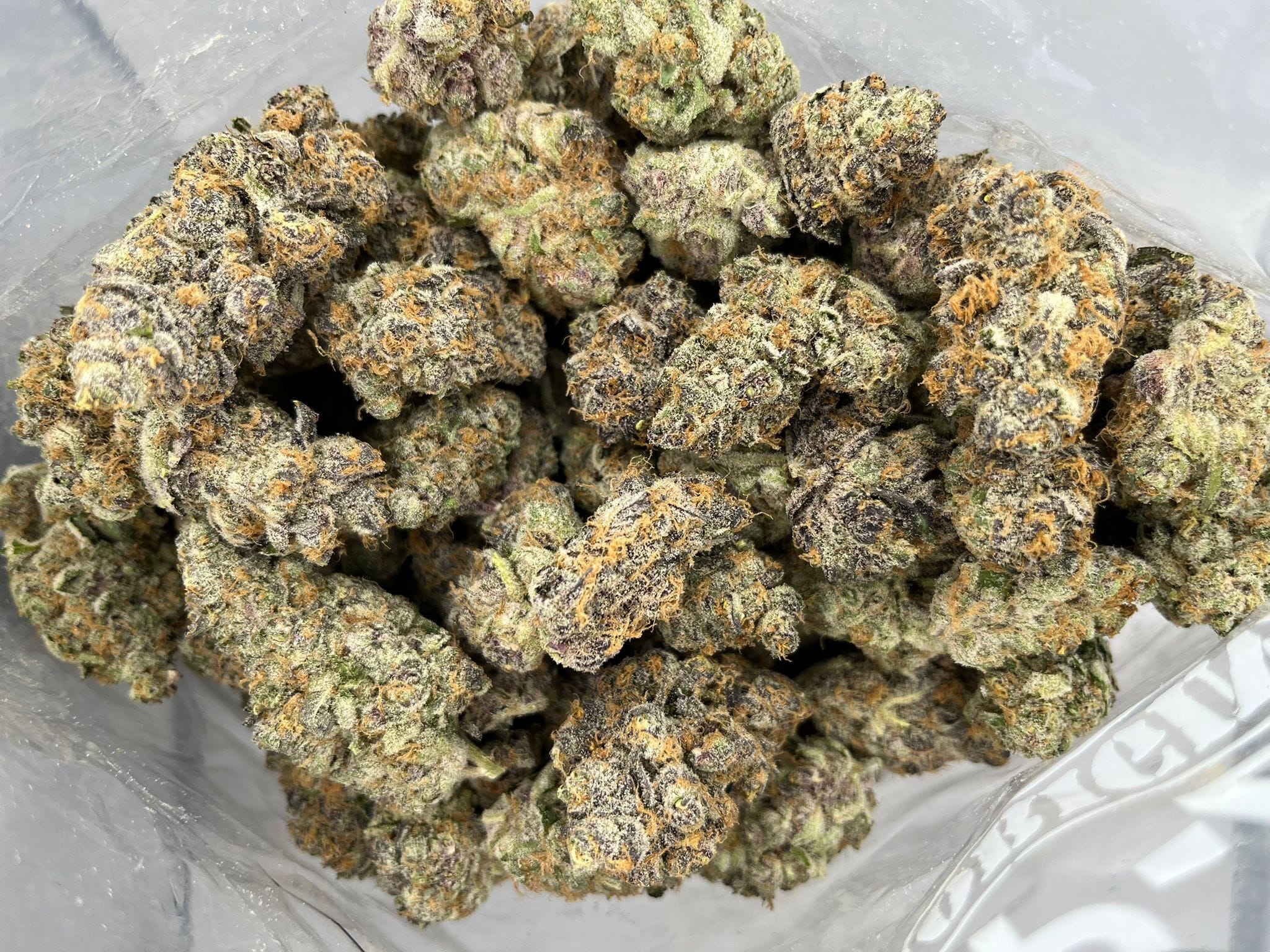 Dolce Gelato – Craft Gardens