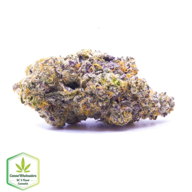 Hightimes Growery – Humboldt Headband