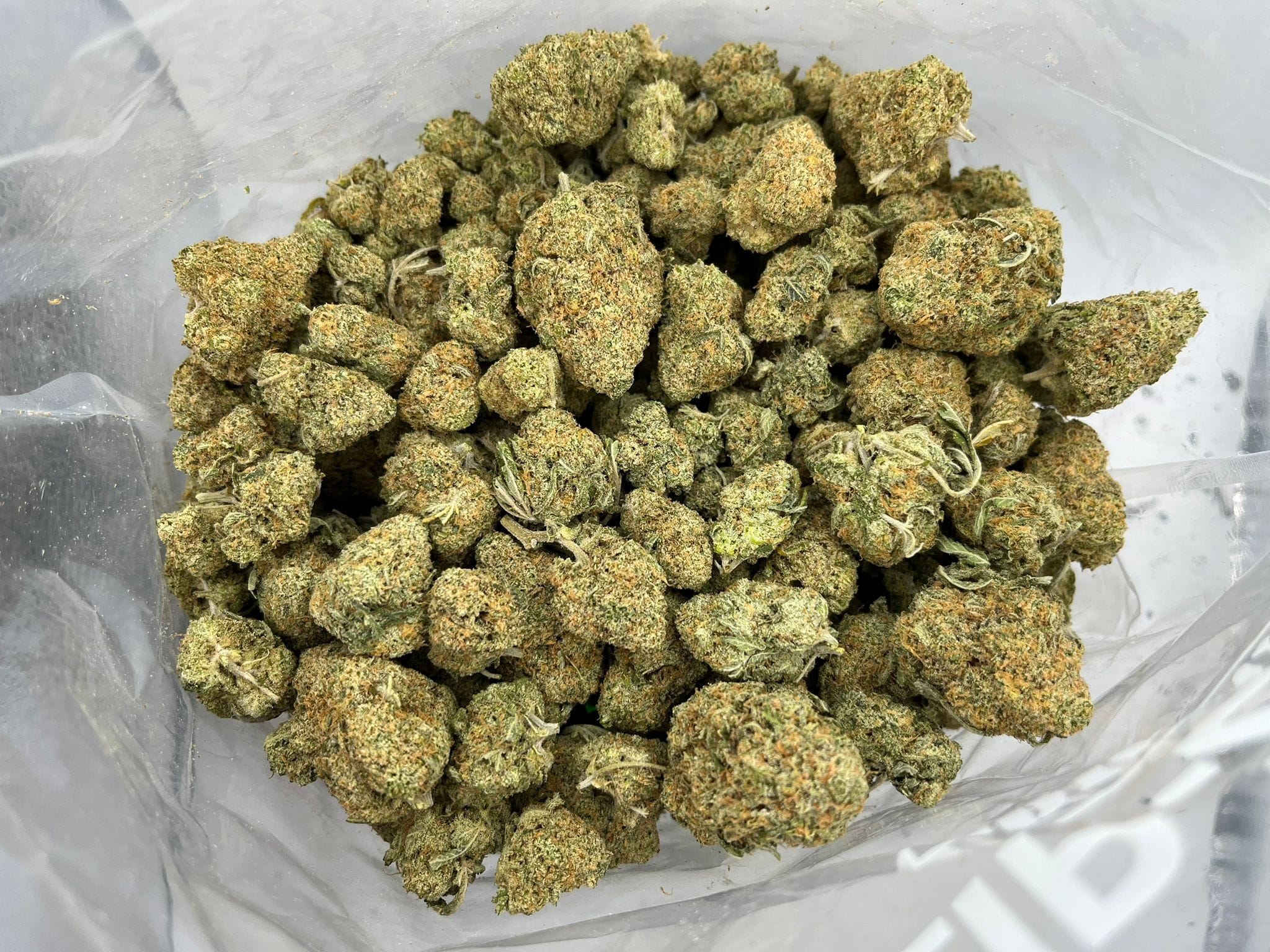 Tropical Runtz – Budget Ounce