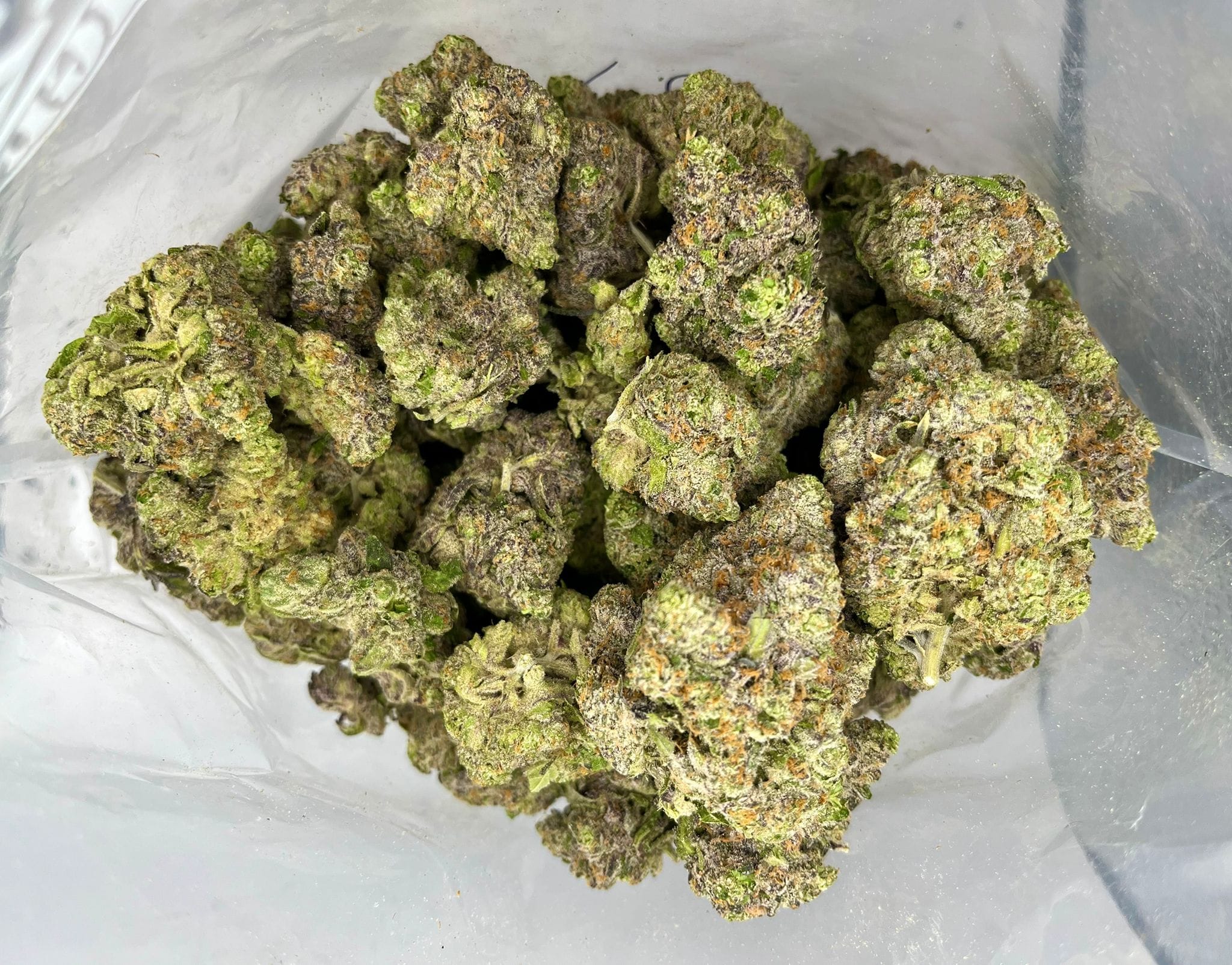 Budget Oz – Hightimes Growery – LA Kush Cakes