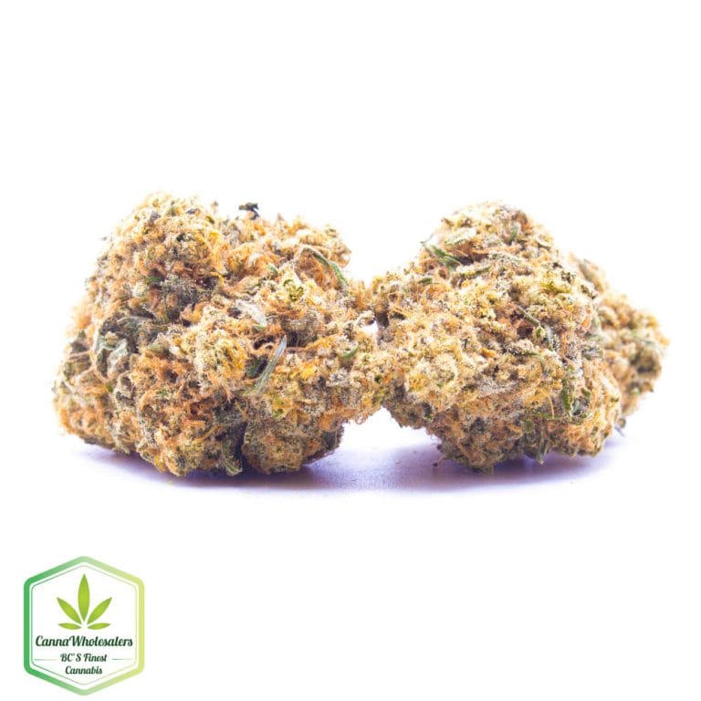 Budget Oz – Joe’s Lemonade