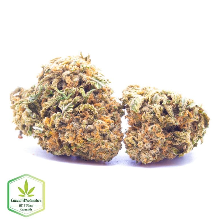 Budget Oz – Lemon Cake