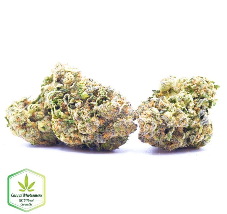 Budget Oz – Pineapple Super Silver Haze – Craft Gardens