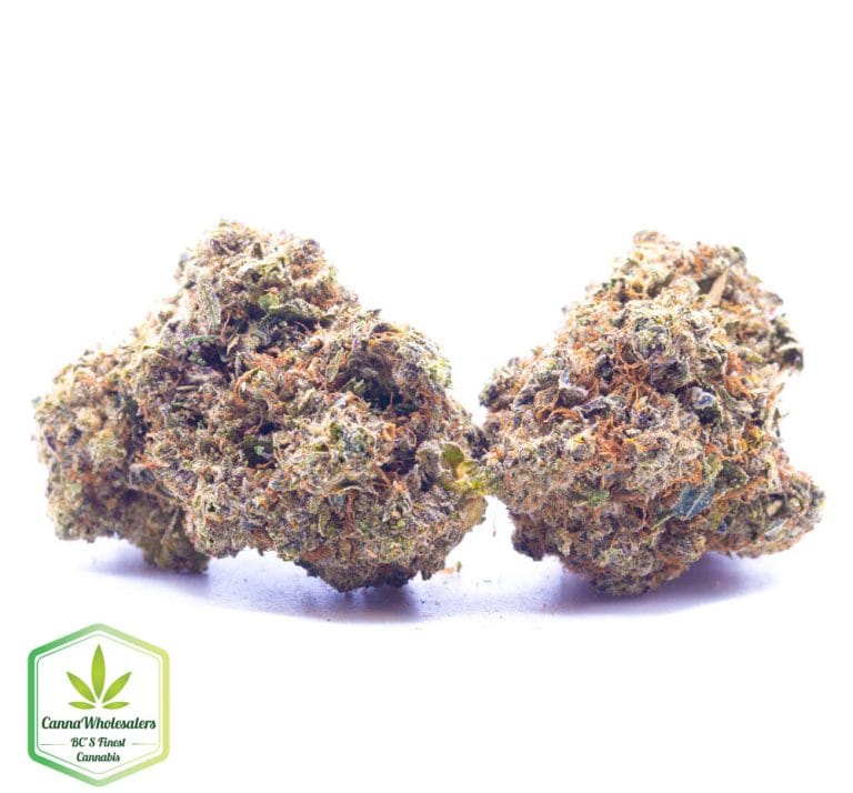 Budget Oz – Gorilla Cake