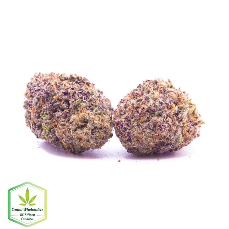 Budget Oz – Slurricane