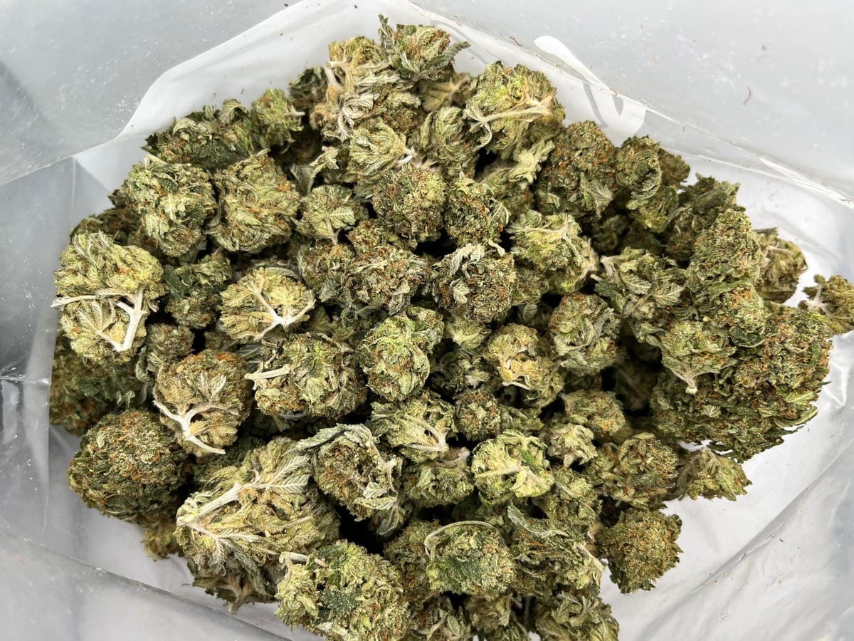 Budget Oz – CannaSutra