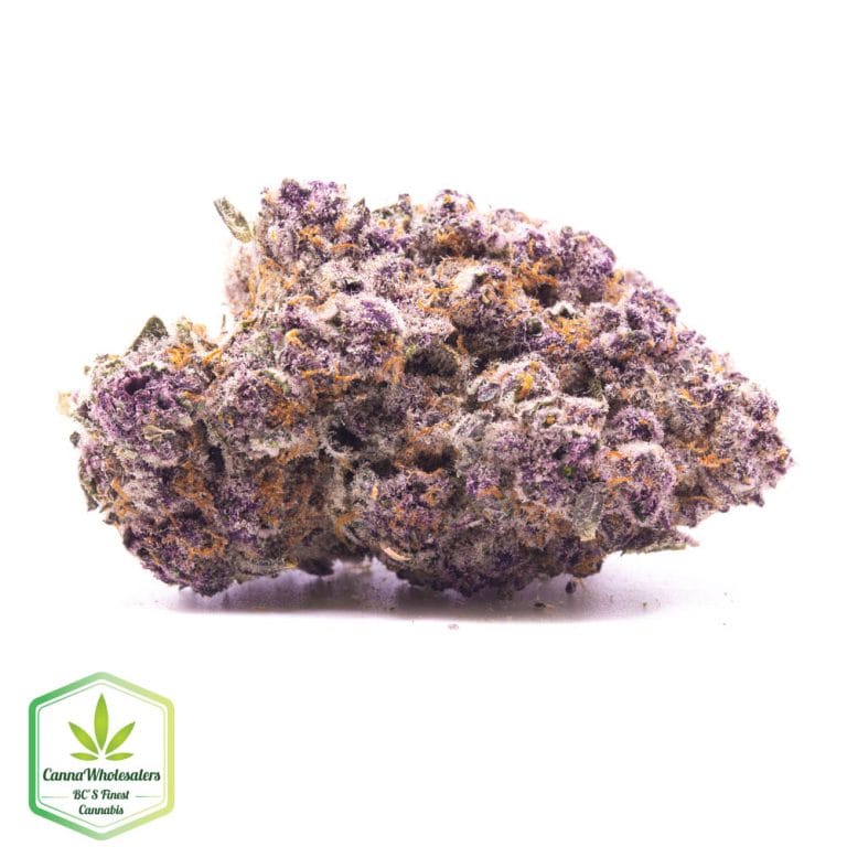 Hightimes Growery – Gobstopper
