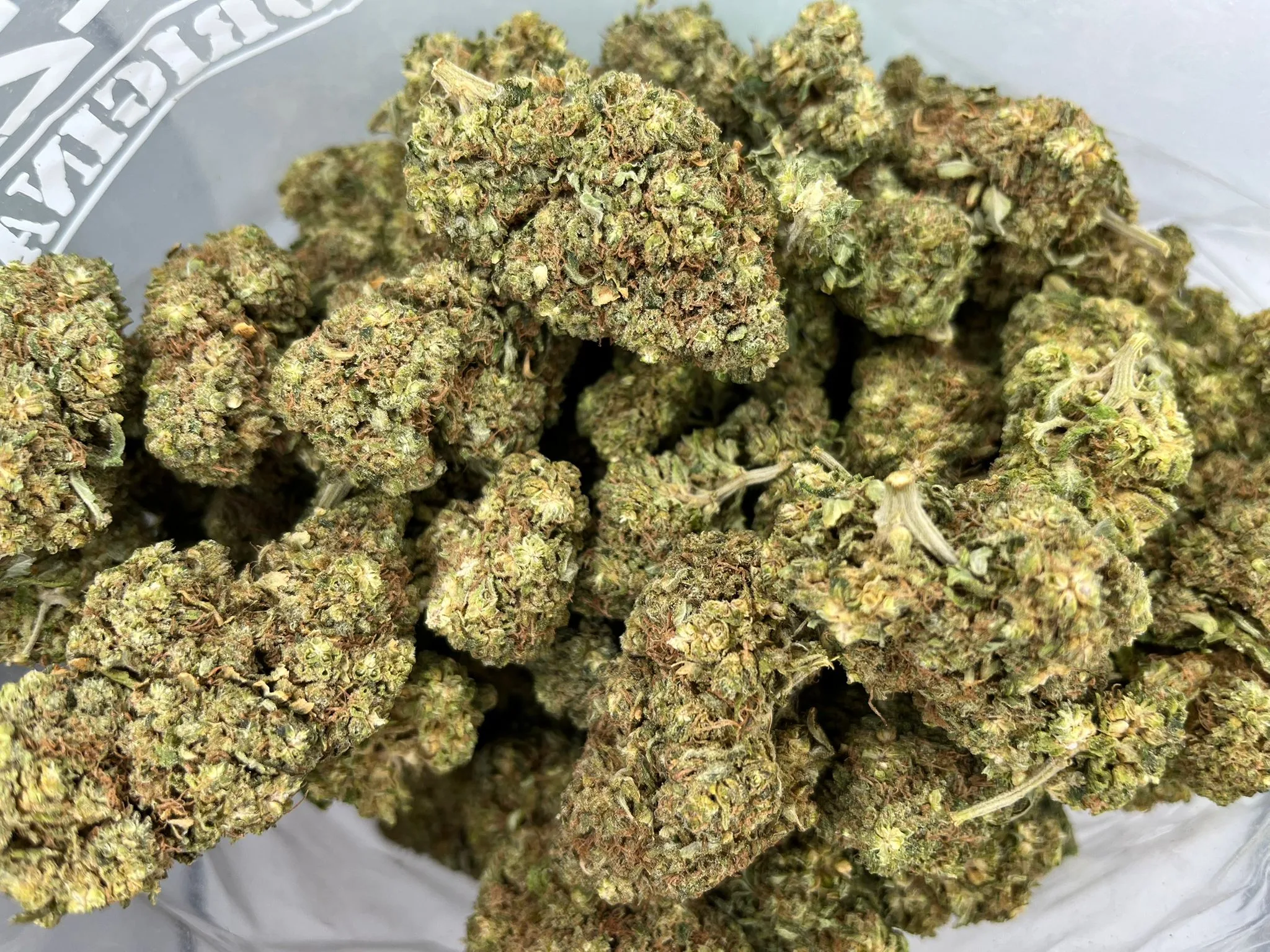 Budget Oz – Pac Man