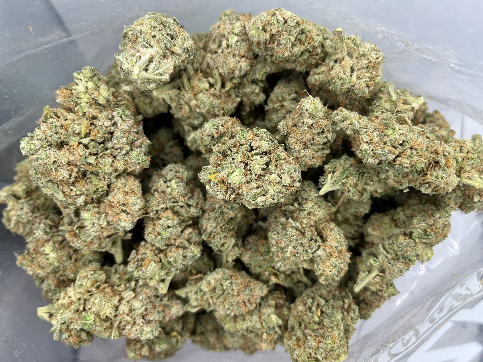 Budget Oz – Jawa Pie