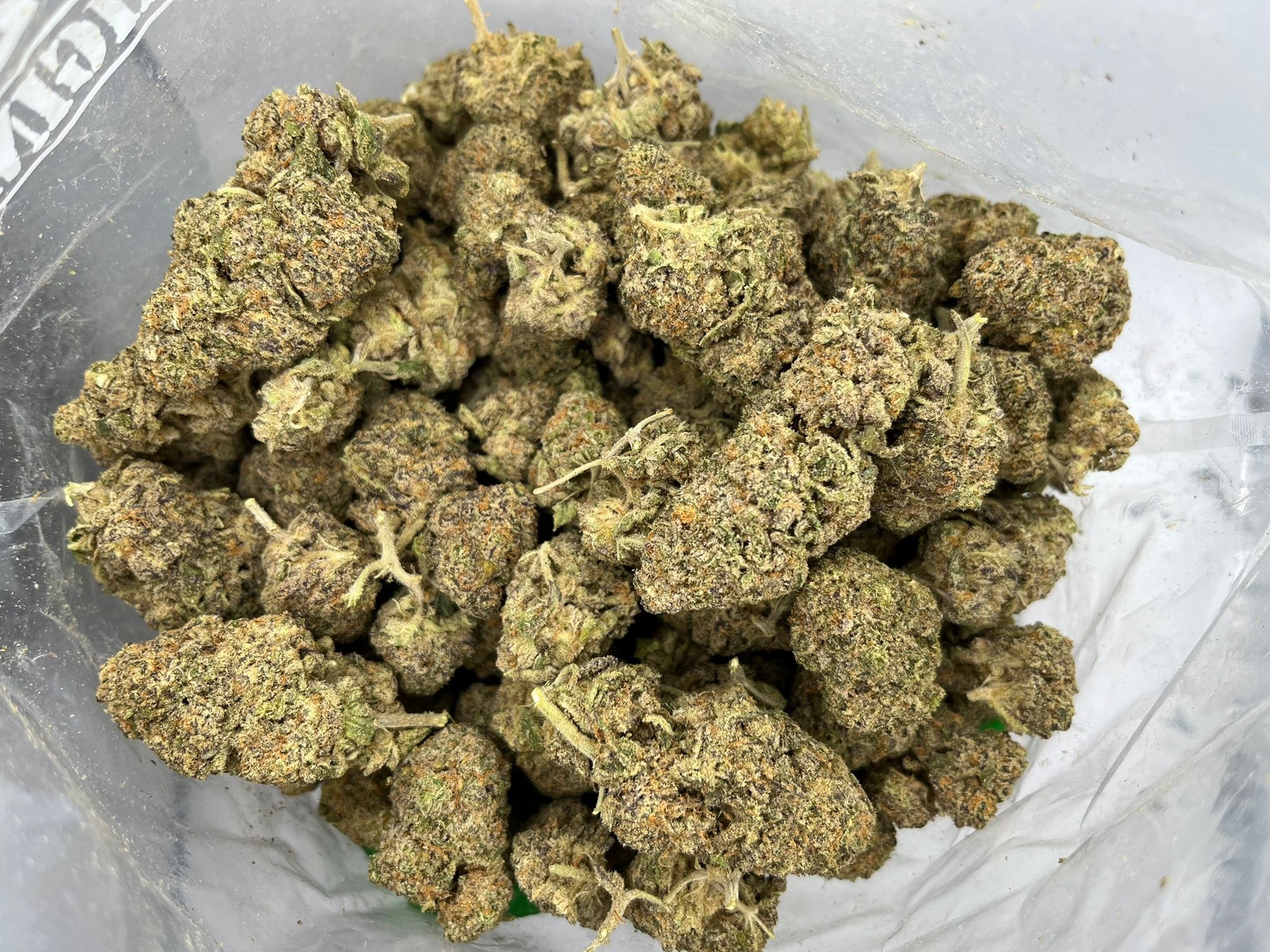 Budget Oz – The Loops