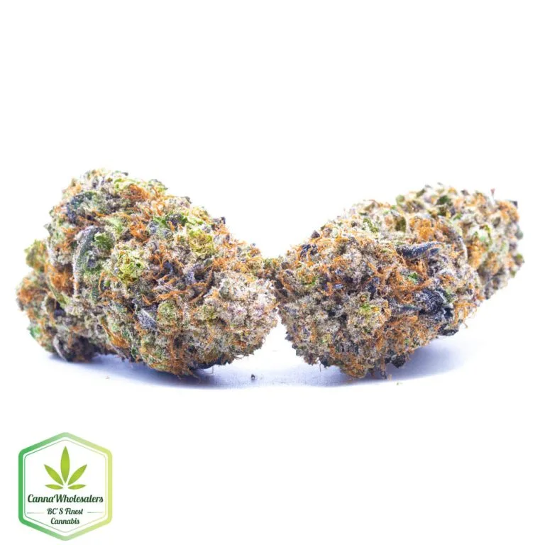 Budget Oz – Bruce Banner