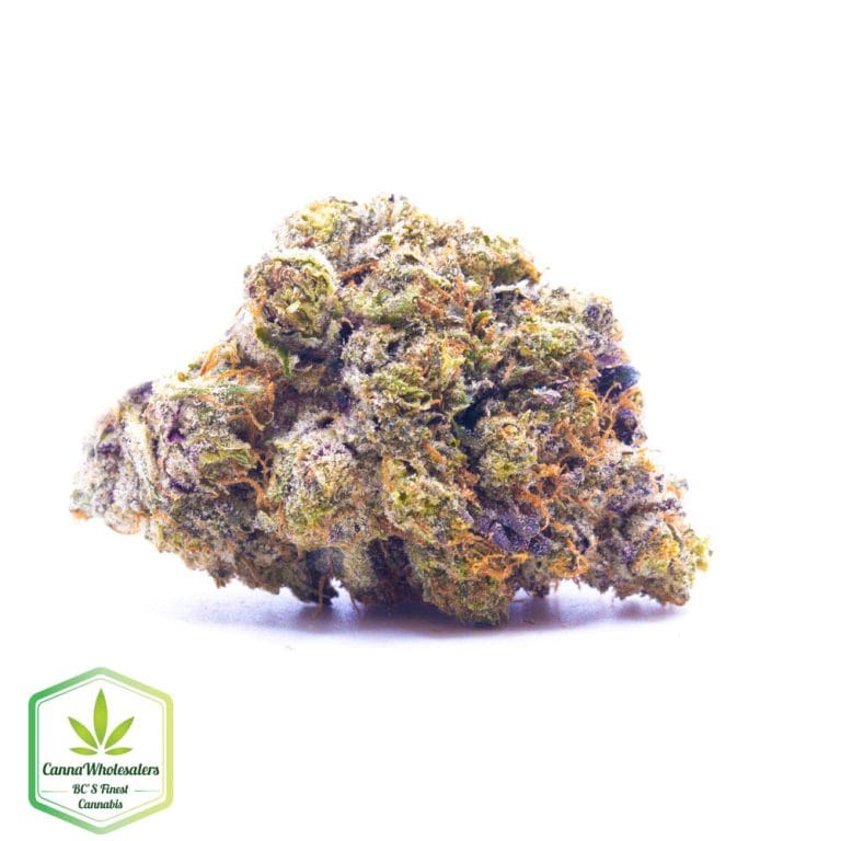 Black Tuna – Craft Gardens