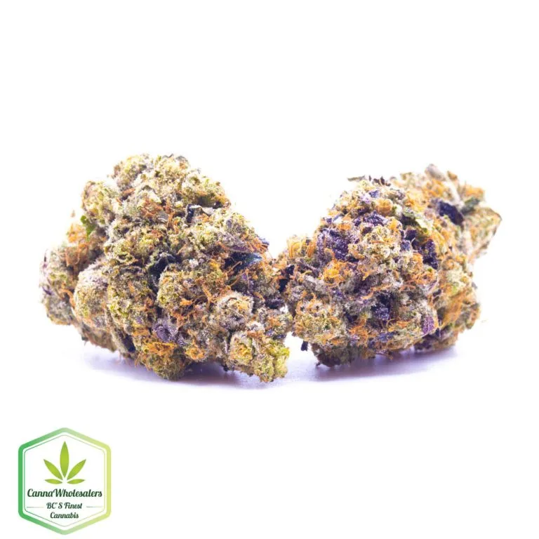 Budget Oz – Black Tuna – Craft Gardens