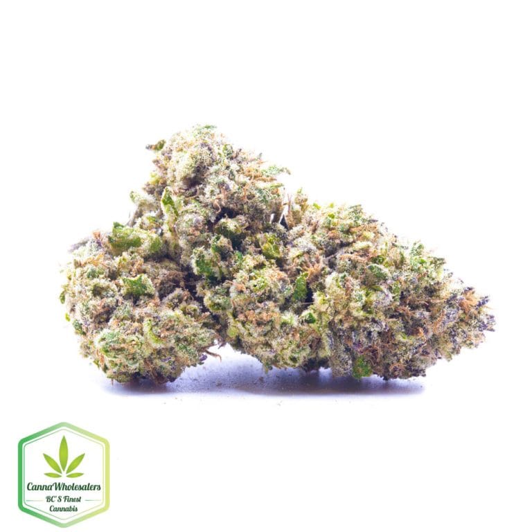 Guava Gelato – Craft Gardens