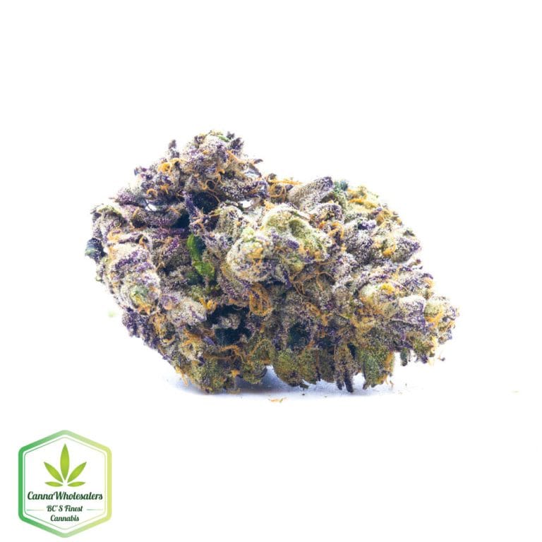 Silver Blaze – Craft Gardens