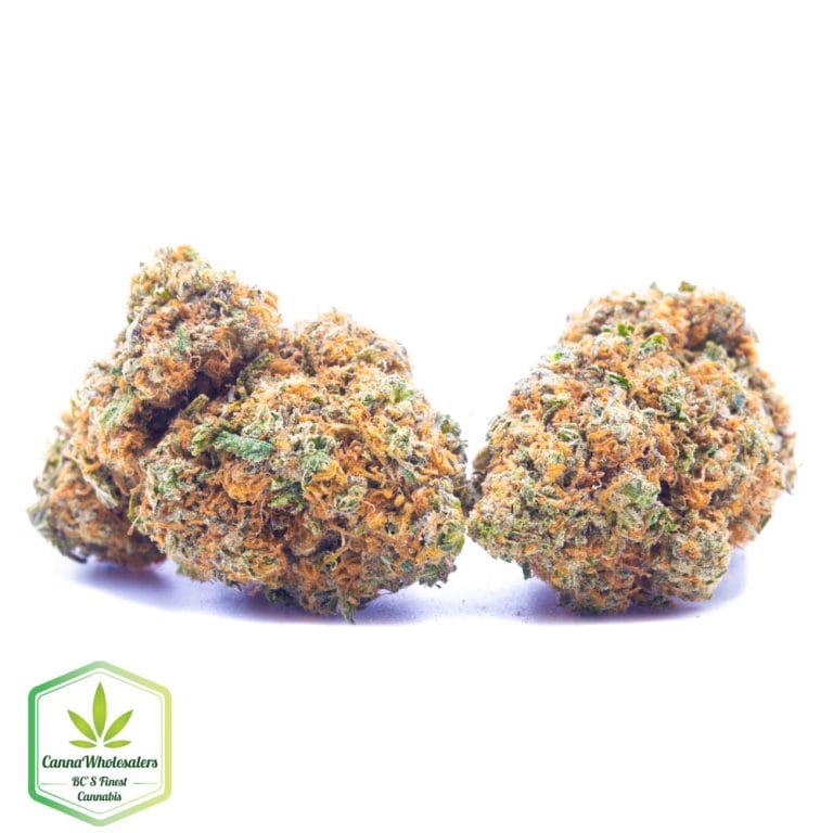 Budget Oz – Swazi Gold